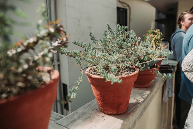 Pots en terre cuite, dans la poterie de jardin